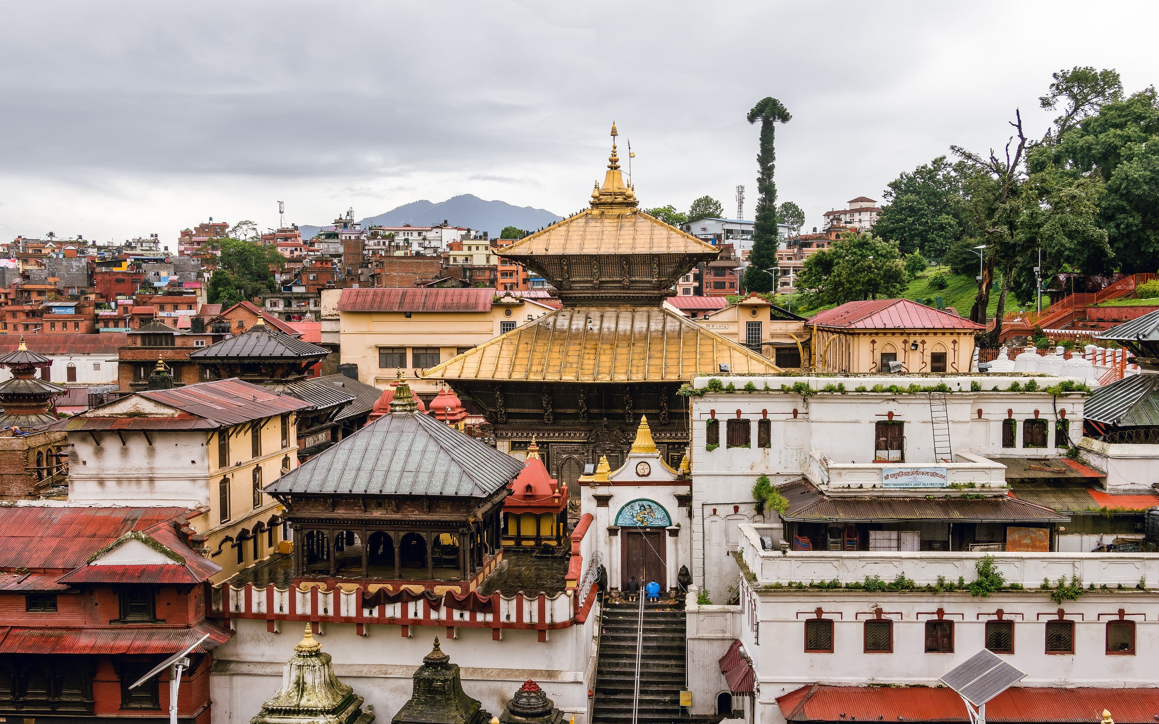 Pagoda roofs of the Pashupatinath temple complex, Kathmandu
