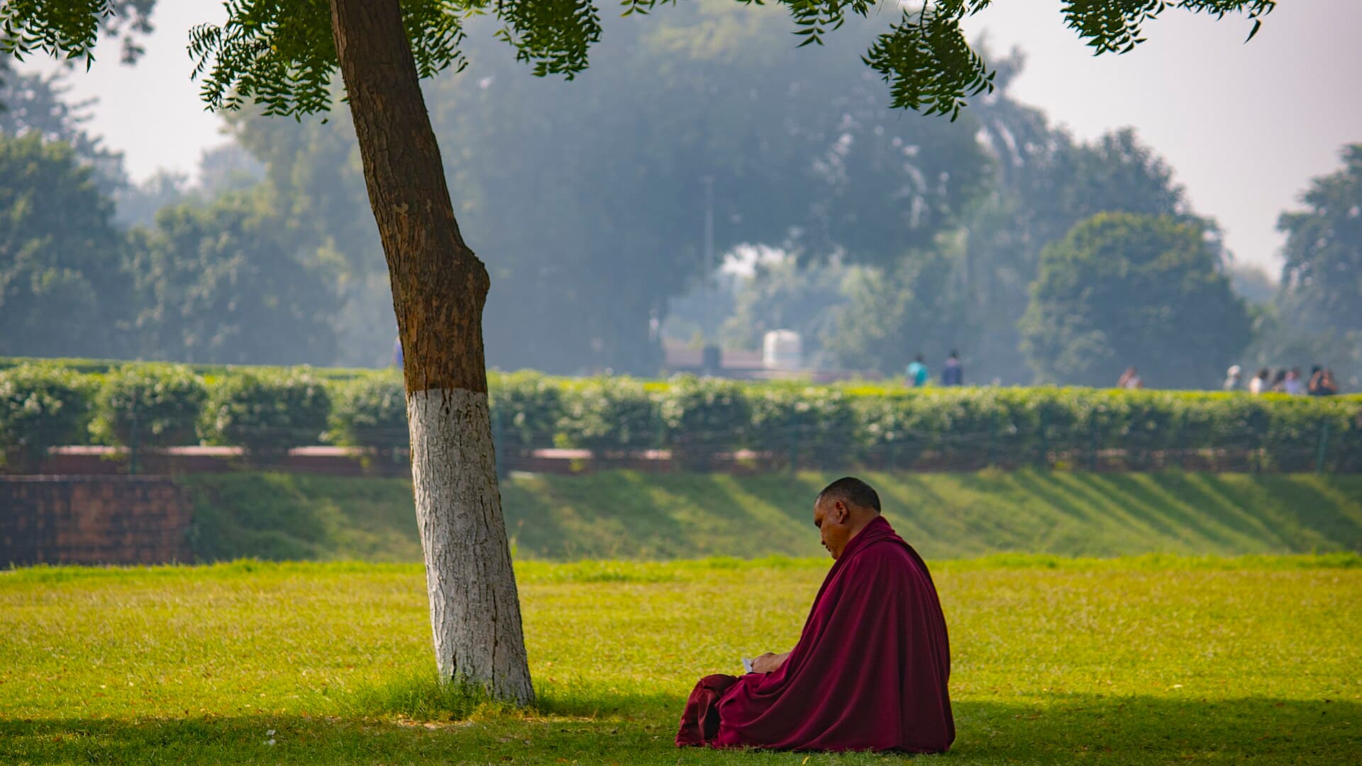 A monk in meditation