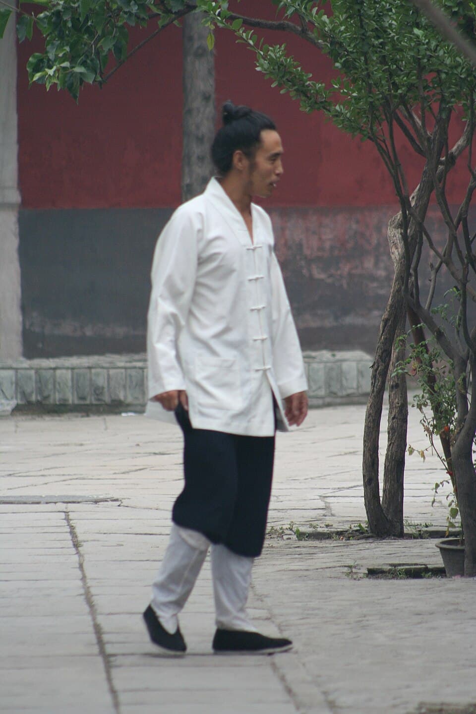 Eva Wong, Taoist teacher and translator