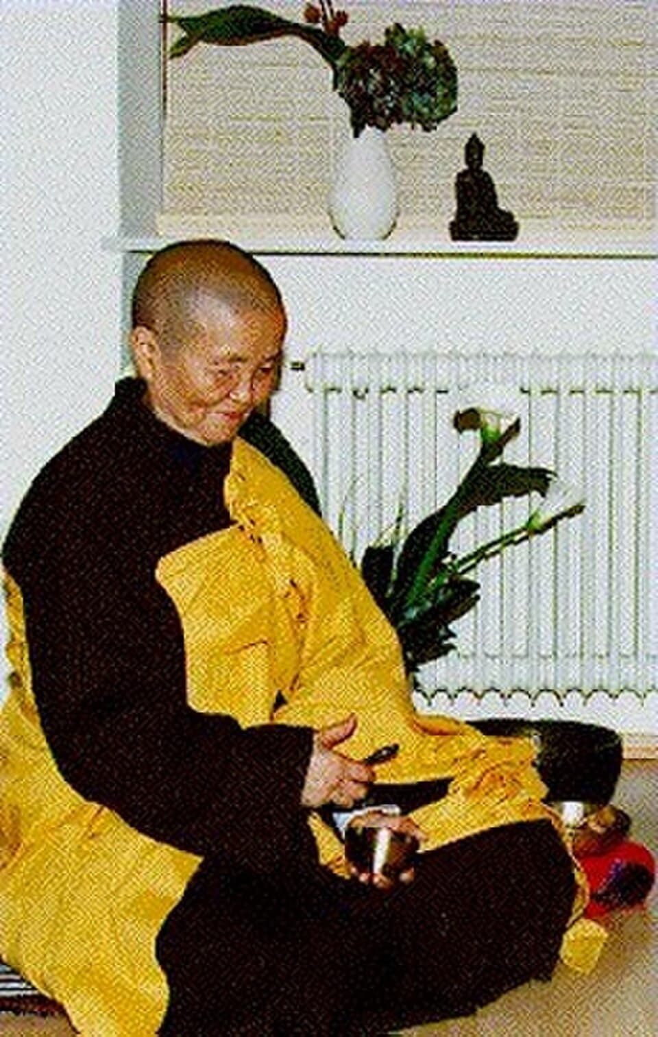 Sister Chân Không