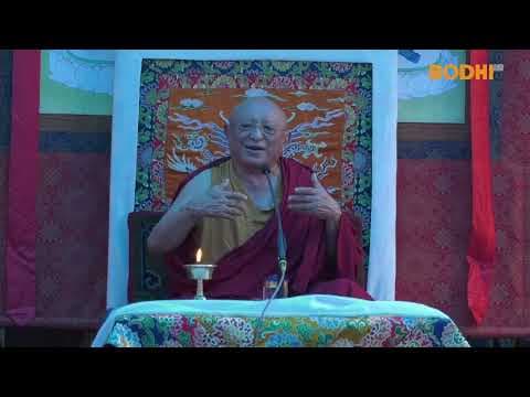 Dharma Needs a Script