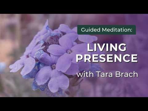 Guided Meditation: Living Presence