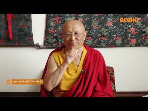 Without Knowing Emptiness, There Is No Freedom from Suffering