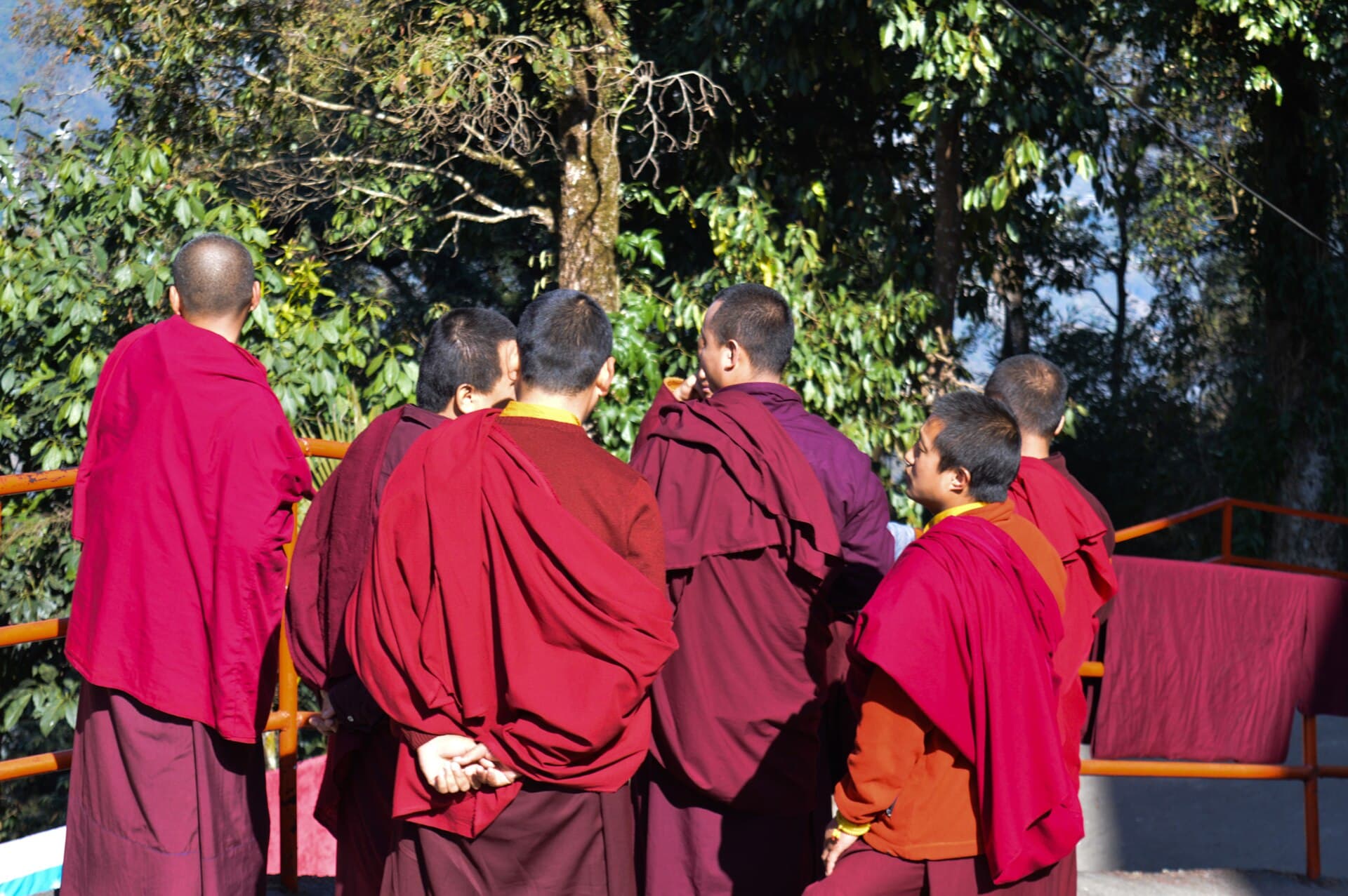 A gathering of Buddhist monks
