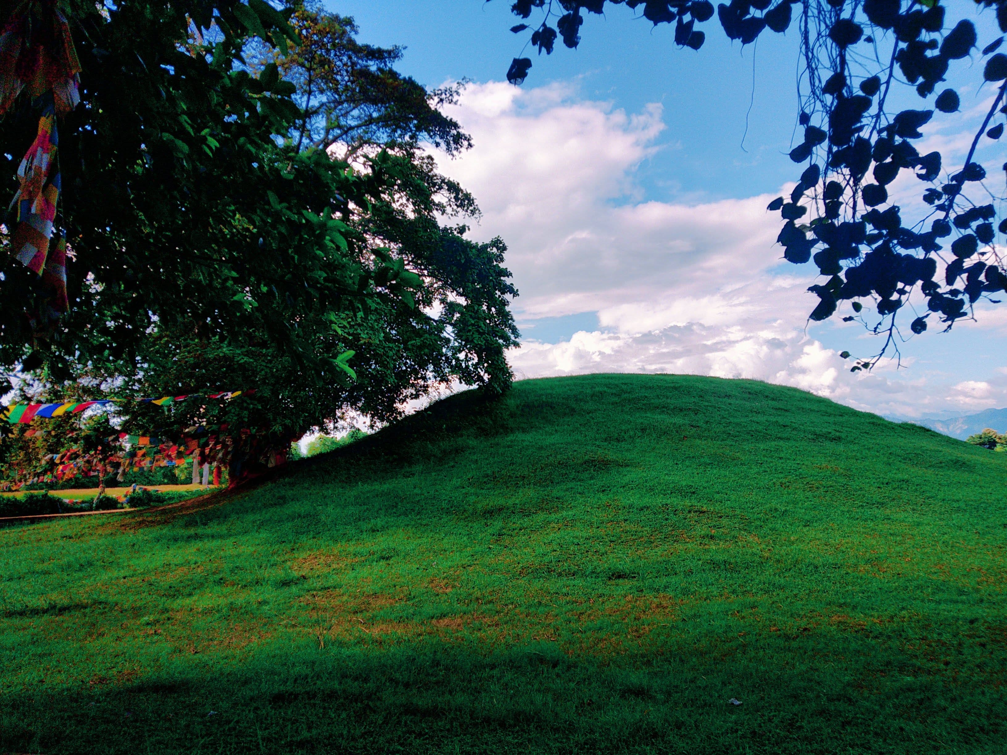 The unexcavated earthen mound of the Ramagrama Stupa, with prayer flags