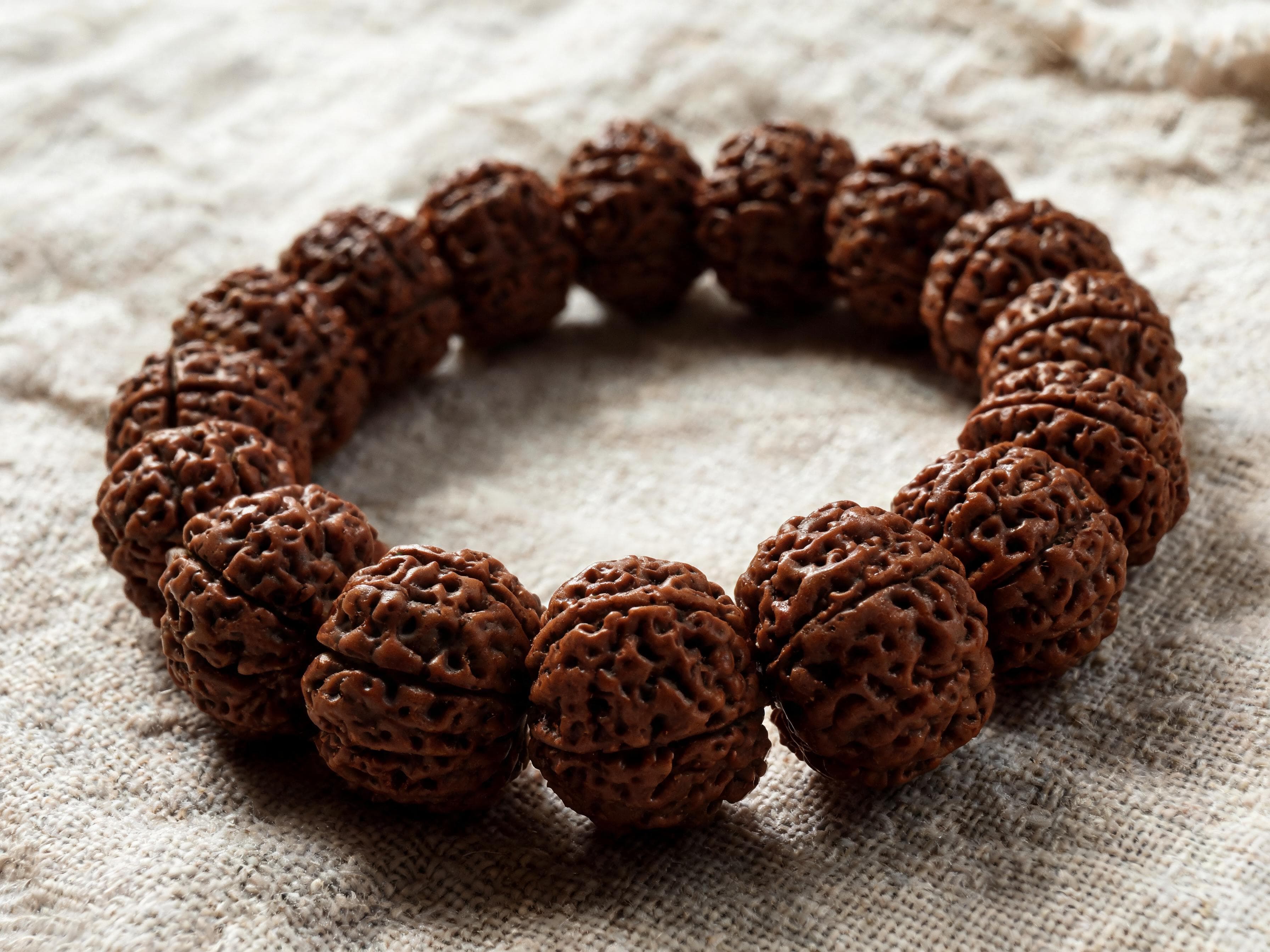 Rudraksha Mala, 108 beads, natural seed texture